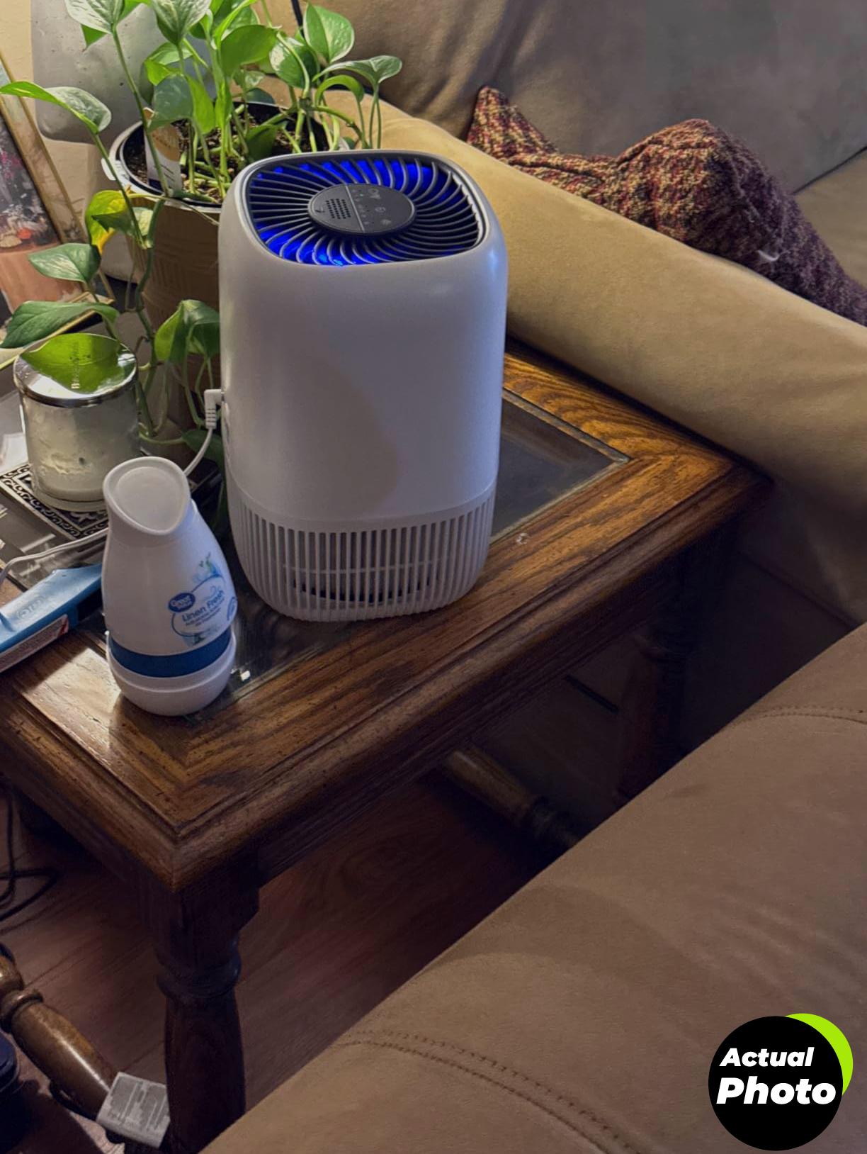 air-purifier-home-hepa-pet-h13-foto-3
