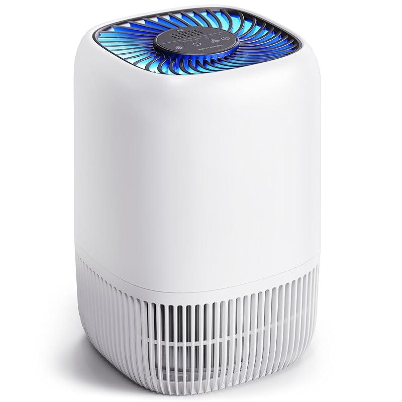 Impressive Air Purifier for Homes with Pets and Allergies