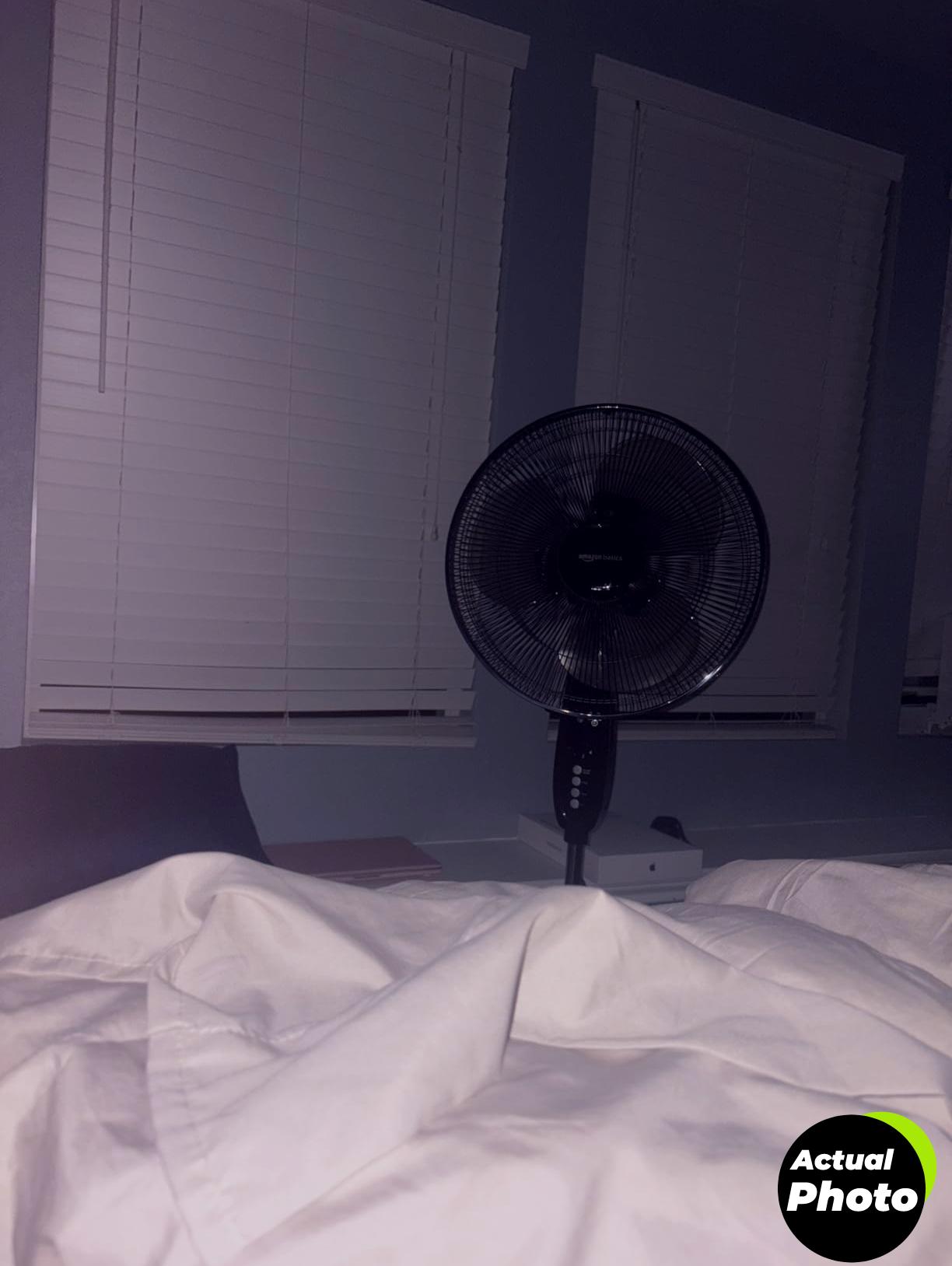 amazon-basics-16-inch-pedestal-fan-black-foto-2