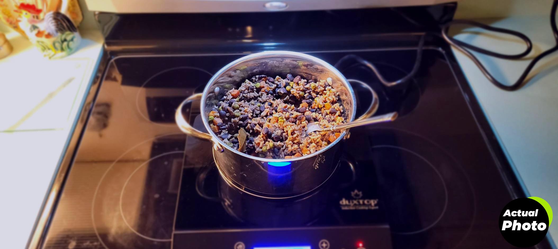 duxtop-induction-cooktop-1800w-9600ls-foto-1