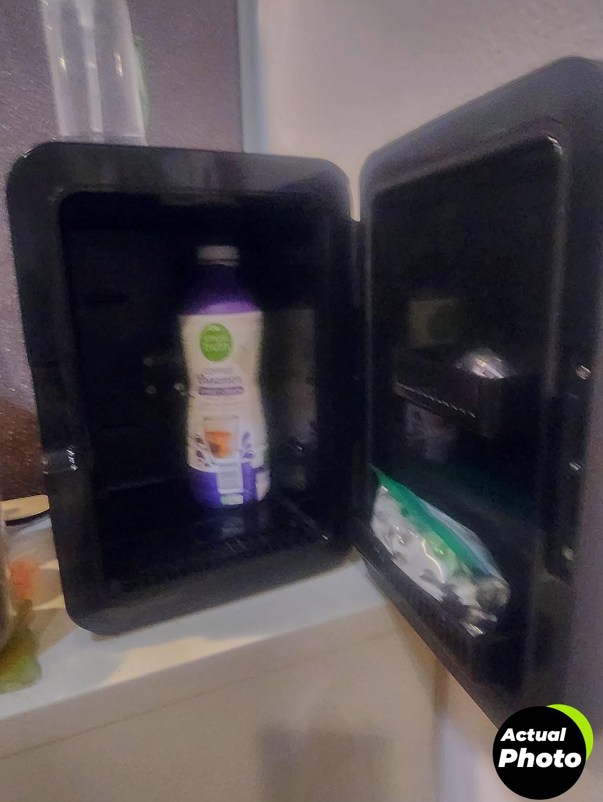 frigidaire-mini-fridge-cooler-portable-10l-foto-1