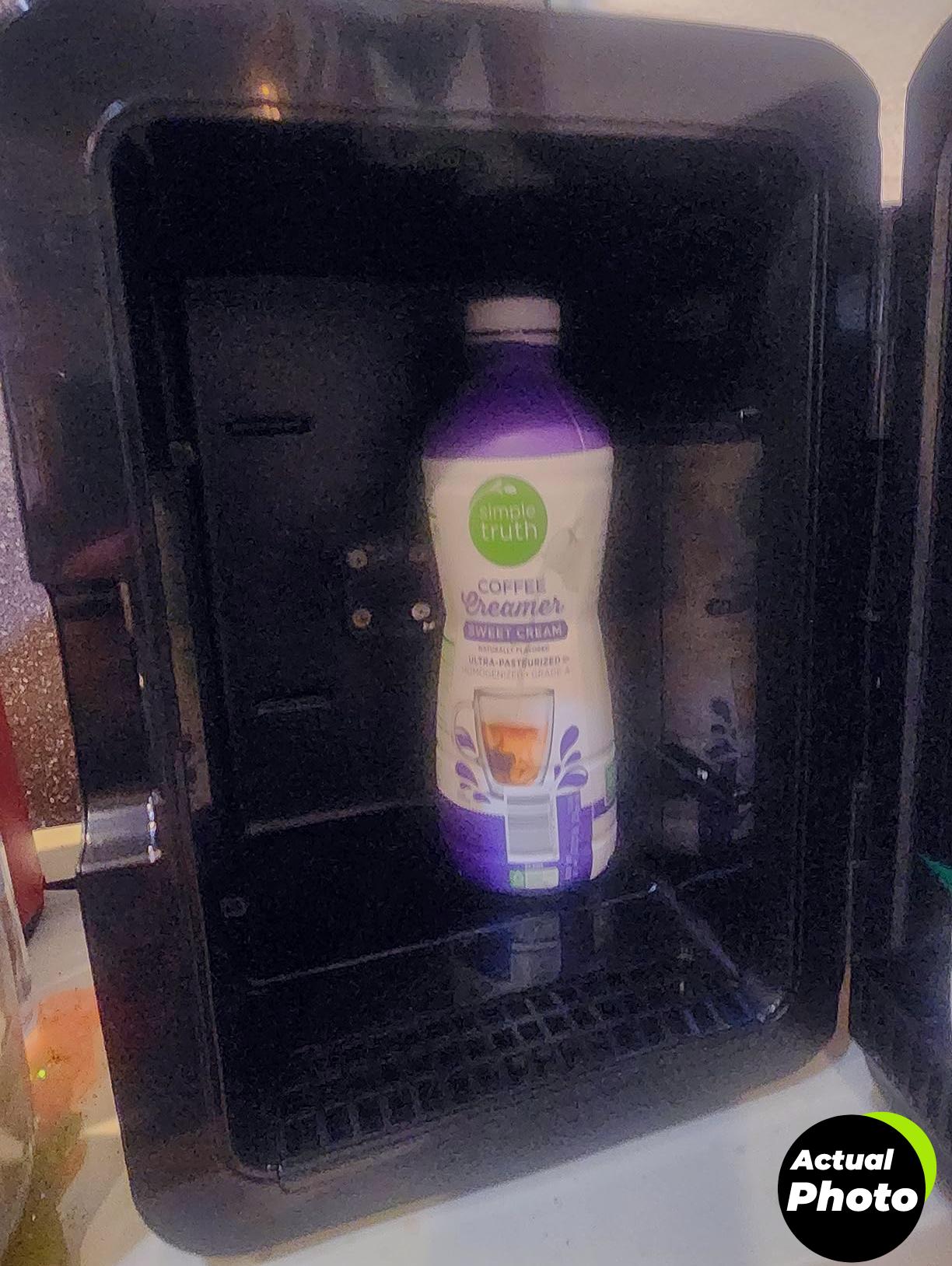 frigidaire-mini-fridge-cooler-portable-10l-foto-2