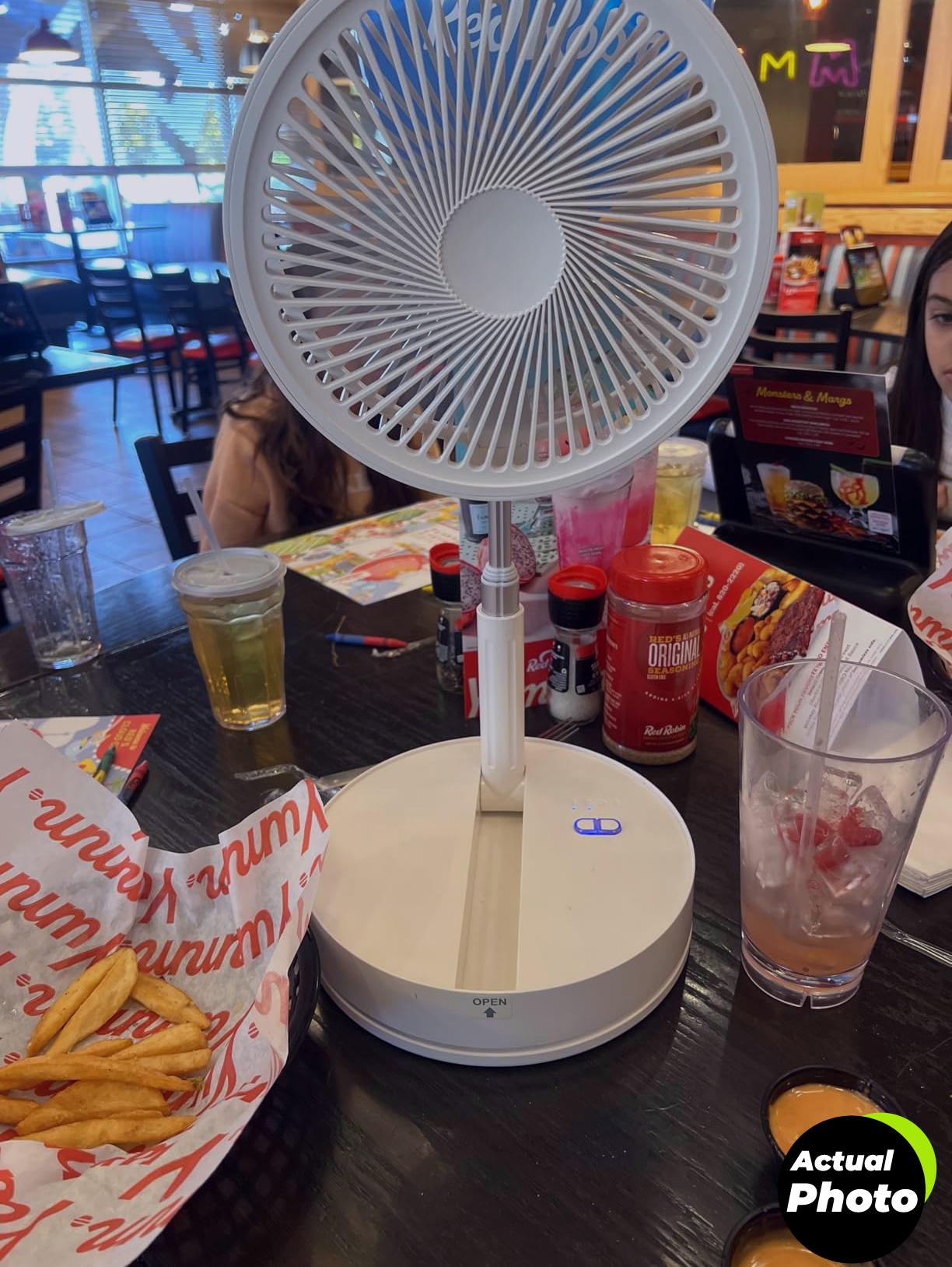 lipety-portable-fan-9inch-foto-2